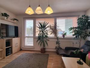 Pronájem rodinného domu, Troubsko, Nár. odboje, 230 m2