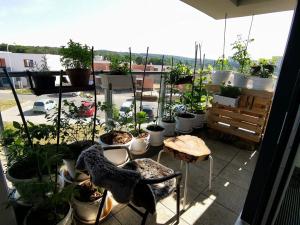 Pronájem bytu 1+kk, Brno, Kyselkova, 35 m2