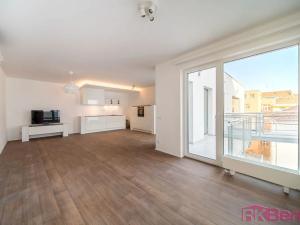 Prodej bytu 1+kk, Brno, Spolková, 58 m2