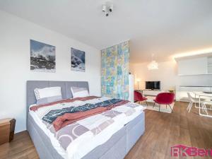Prodej bytu 1+kk, Brno, Spolková, 58 m2