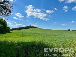 Prodej rodinného domu, Buš, 163 m2
