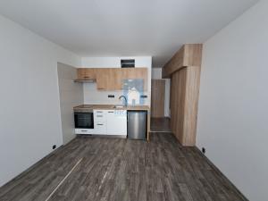 Pronájem bytu 1+kk, Plzeň, Staniční, 20 m2