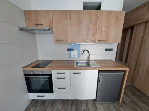 Pronájem bytu 1+kk, Plzeň, Staniční, 20 m2