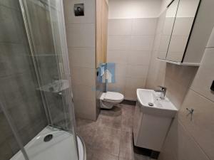 Pronájem bytu 1+kk, Plzeň, Staniční, 20 m2