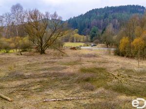 Prodej zahrady, Všelibice, 2410 m2