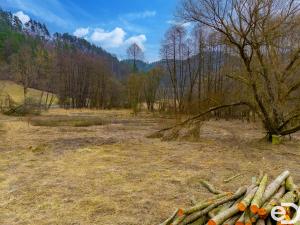 Prodej zahrady, Všelibice, 2410 m2