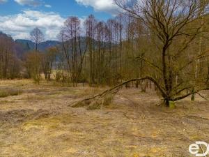 Prodej zahrady, Všelibice, 2410 m2