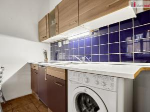 Pronájem bytu 1+kk, Ústí nad Labem - Ústí nad Labem-centrum, Emy Destinové, 21 m2