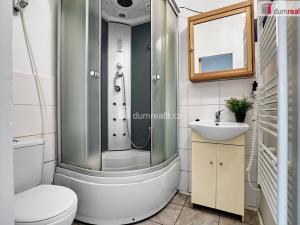 Pronájem bytu 1+kk, Ústí nad Labem - Ústí nad Labem-centrum, Emy Destinové, 21 m2