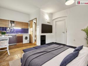 Pronájem bytu 1+kk, Ústí nad Labem - Ústí nad Labem-centrum, Emy Destinové, 21 m2