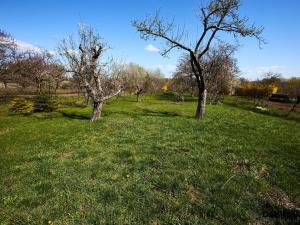 Prodej zahrady, Rajhrad, 752 m2