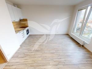 Pronájem bytu 1+kk, Plzeň, Nemocniční, 30 m2