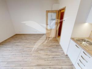 Pronájem bytu 1+kk, Plzeň, Nemocniční, 30 m2