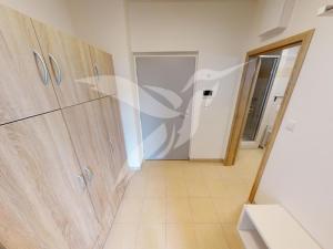 Pronájem bytu 1+kk, Plzeň, Nemocniční, 30 m2