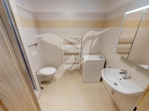 Pronájem bytu 1+kk, Plzeň, Nemocniční, 30 m2