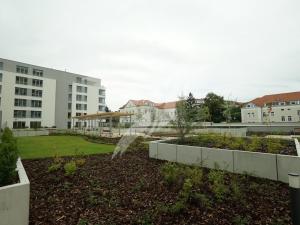 Pronájem bytu 1+kk, Plzeň, Nemocniční, 30 m2