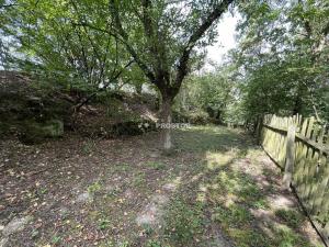 Prodej chalupy, Brodec, 60 m2