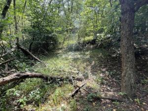 Prodej chalupy, Brodec, 60 m2