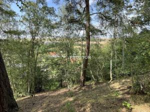 Prodej chalupy, Brodec, 60 m2