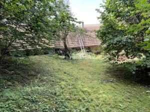 Prodej chalupy, Brodec, 60 m2