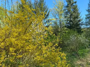 Prodej zahrady, Písek, Na Ptáčkovně, 3078 m2