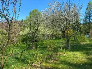 Prodej zahrady, Písek, Na Ptáčkovně, 3078 m2