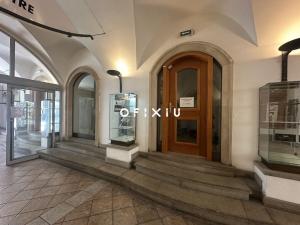 Pronájem obchodního prostoru, Brno, Orlí, 38 m2