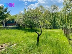 Prodej pozemku pro bydlení, Citonice, 400 m2