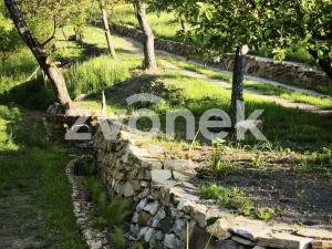 Prodej chaty, Pacetluky, 22 m2