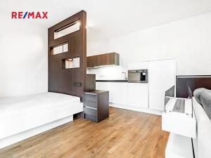 Prodej bytu 1+kk, Praha - Žižkov, Olšanská, 35 m2