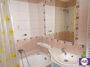Pronájem bytu 2+kk, České Budějovice, V. Volfa, 42 m2