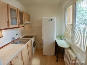 Pronájem bytu 1+1, Ostrava - Poruba, Svojsíkova, 28 m2