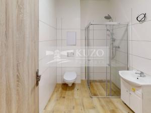 Pronájem bytu 1+kk, Příbram, Gen. R. Tesaříka, 43 m2