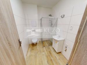 Pronájem bytu 1+kk, Příbram, Gen. R. Tesaříka, 43 m2