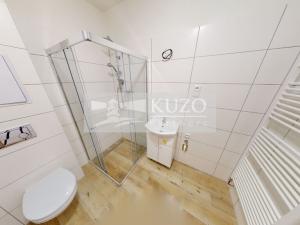 Pronájem bytu 1+kk, Příbram, Gen. R. Tesaříka, 43 m2