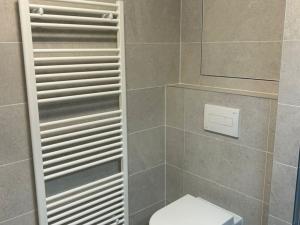 Pronájem bytu 1+kk, Brno - Trnitá, Křenová, 28 m2