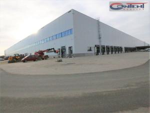 Pronájem skladu, Hrušky, Polní, 15000 m2