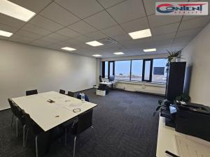 Pronájem skladu, Hrušky, Polní, 15000 m2