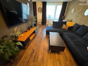 Prodej bytu 4+1, Most, Albrechtická, 78 m2