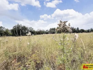 Prodej pozemku pro bydlení, Sebranice, 2000 m2