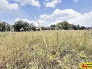 Prodej pozemku pro bydlení, Sebranice, 2000 m2