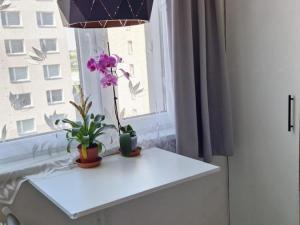 Pronájem bytu 1+1, Valašské Meziříčí, Havlíčkova, 33 m2