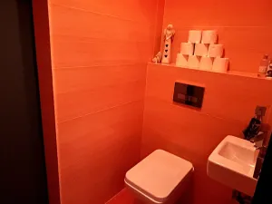Prodej bytu 4+kk, Pelhřimov, Dolnokubínská, 119 m2