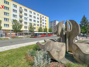 Prodej bytu 3+1, Hradec Králové - Slezské Předměstí, třída SNP, 74 m2