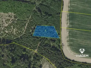 Prodej podílu lesa, Řendějov, 1292 m2