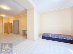 Pronájem bytu 1+kk, Praha - Řepy, Karlovarská, 35 m2