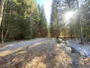 Prodej pozemku, Čachrov - Javorná, 25710 m2