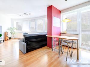 Prodej bytu 1+kk, Hradec Králové - Nový Hradec Králové, Palachova, 41 m2