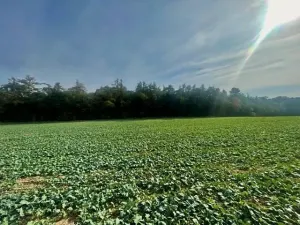 Prodej pole, Praha, Na Padesátníku I, 24066 m2