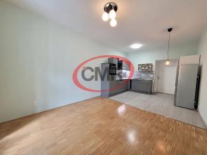 Pronájem bytu 2+kk, Praha - Smíchov, Štefánikova, 46 m2